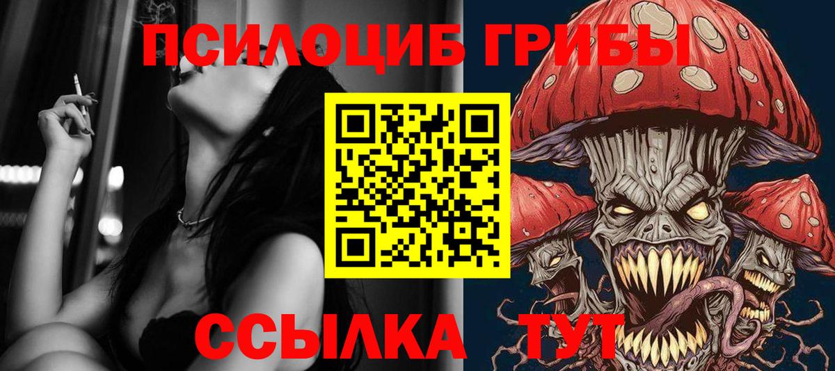 Альметьевск  Галлюциногенные грибы GOLDEN TEACHER  купить закладку  Вход с VPN 